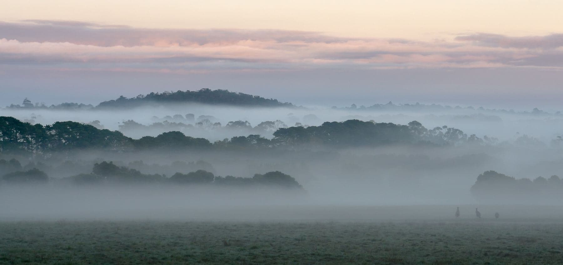 Morning mist lying over treed hills and paddocks in the Dandenong Ranges